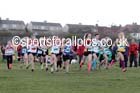 Under-15 girls  NEHL Wrekenton, Gateshead. 2014 NEH, Wrekenton. Photo: David T. Hewitson/Sports for All Pics